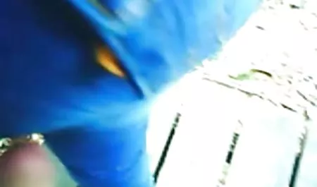 ஆஷ்லே ஆடம்ஸ், லாரா அம்மாக்கள் செக்ஸ் Suite